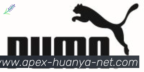 环亚体育合作伙伴